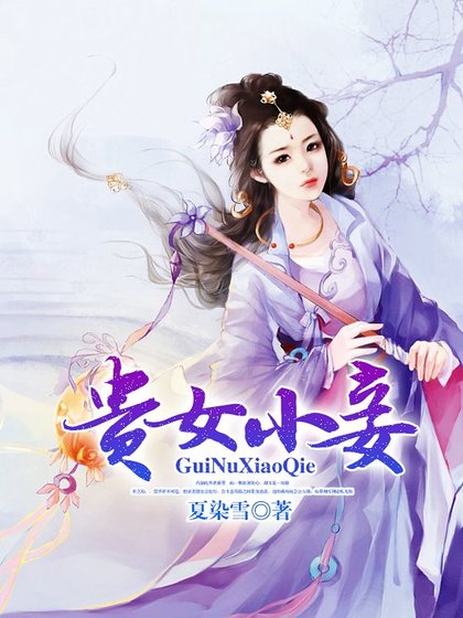贵女小妾